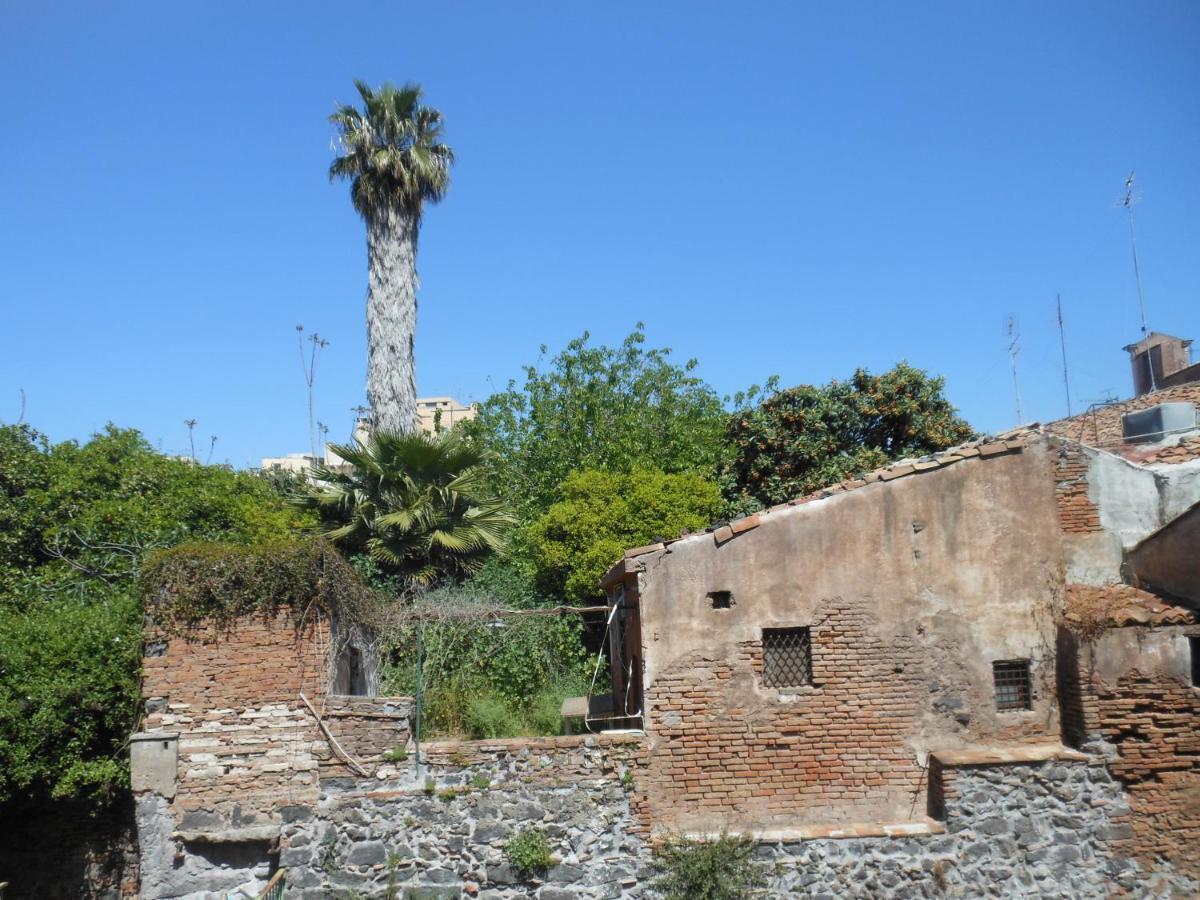 Naturalliving Apartment Catania